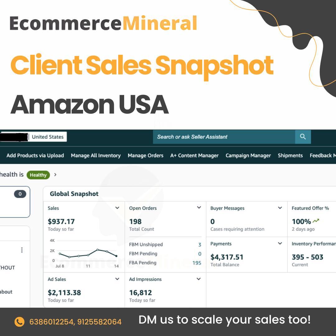 Client sales snapshot from Amazon USA marketplace showing sales growth and performance metrics