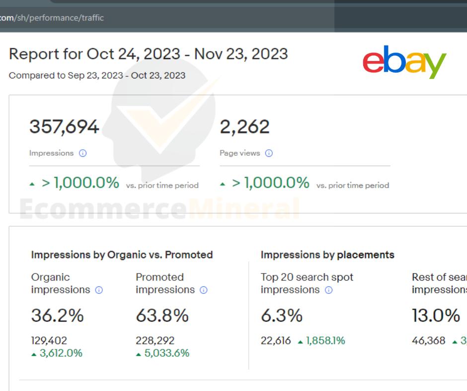 eBay sales performance dashboard showing client account metrics and revenue trends